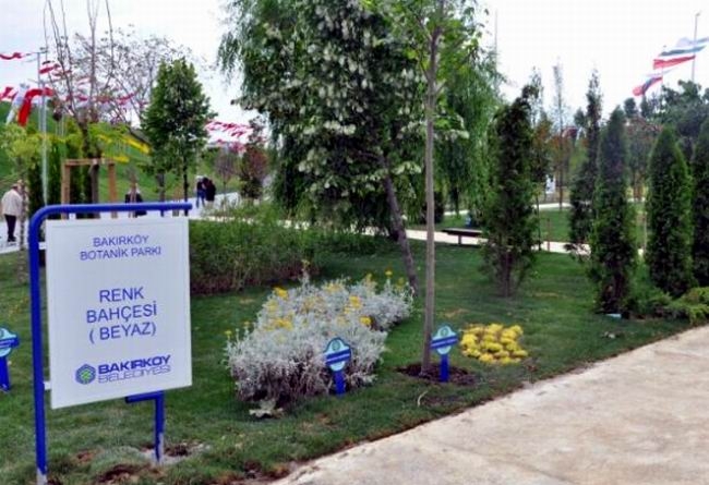 Bakırköy Botanik Park - Botanik Park İncirli